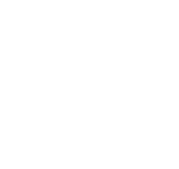 Vault 21 Brand