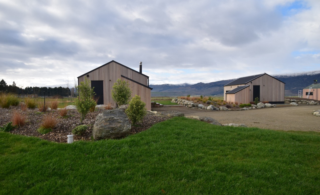 Sunflowers, Sustainability and Sheep: Enhancing Regenerative Farming Practices on Tinwald Farm