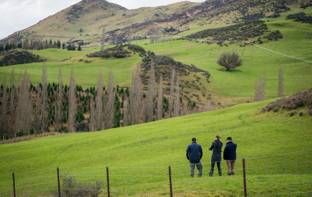 Toitū Carbonreduce Certification