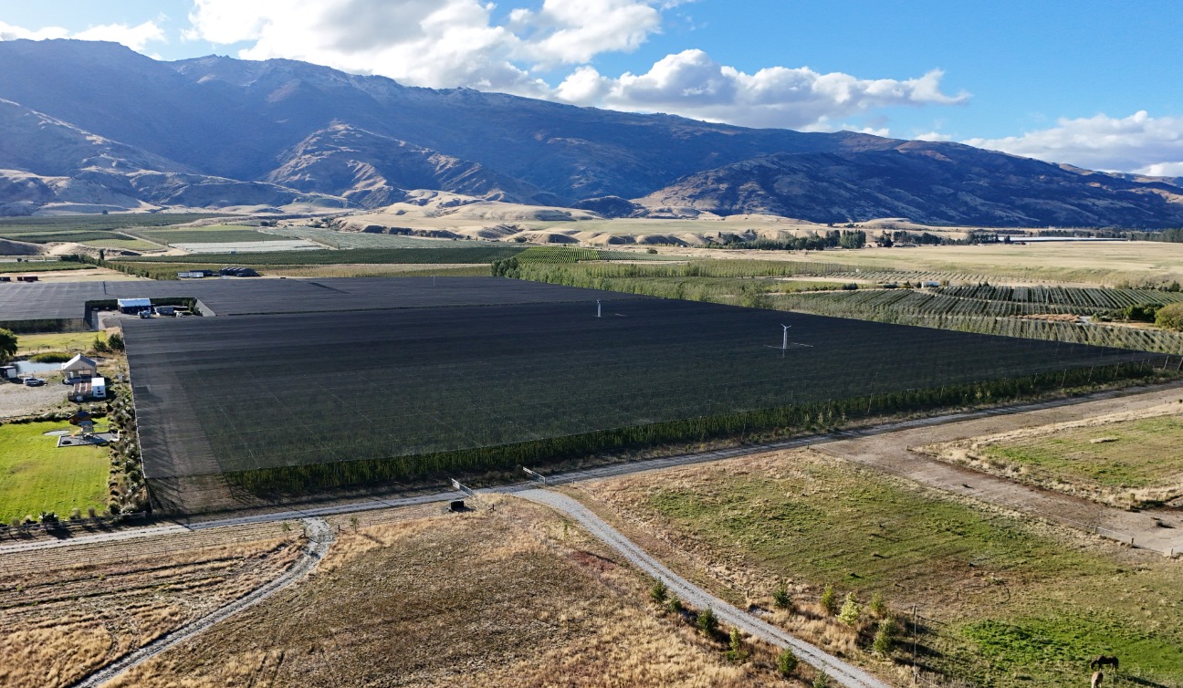 Sparking Sustainable Change: New Zealand's First Fully Electric Orchard